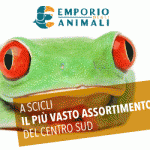 emporio-degli-animali-1