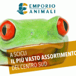 emporio-degli-animali-1