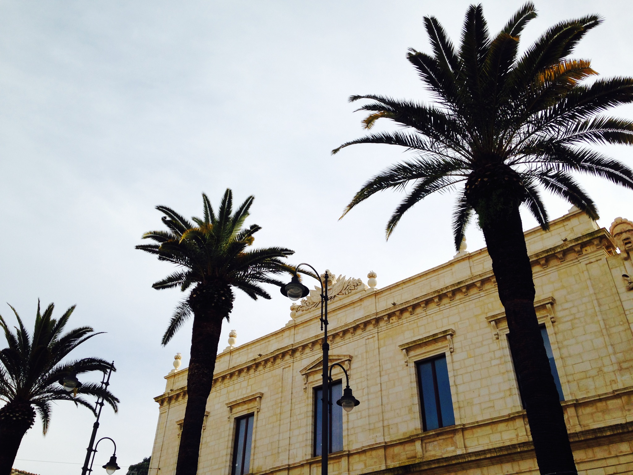 palme piazza matteotti