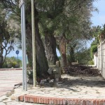 il marciapiede di piazza donatello