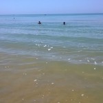 mare sporco1