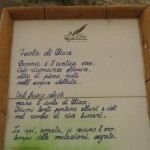 poesia_quasimodo