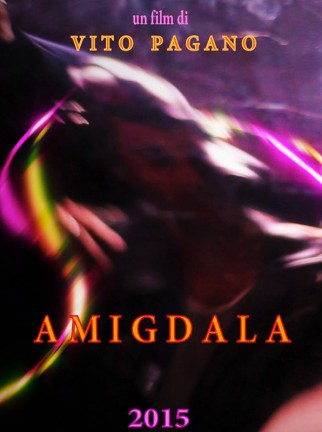 amigdala-foto