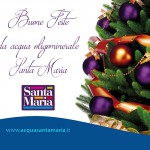 Acqua Santa Maria Natale – banner 600 x 500