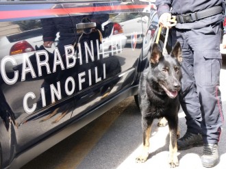 carabinieri-cinofili-330x247