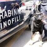 Carabinieri_cinofili