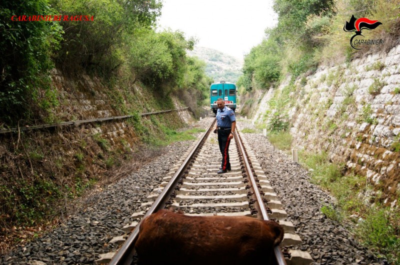 Incidente treno