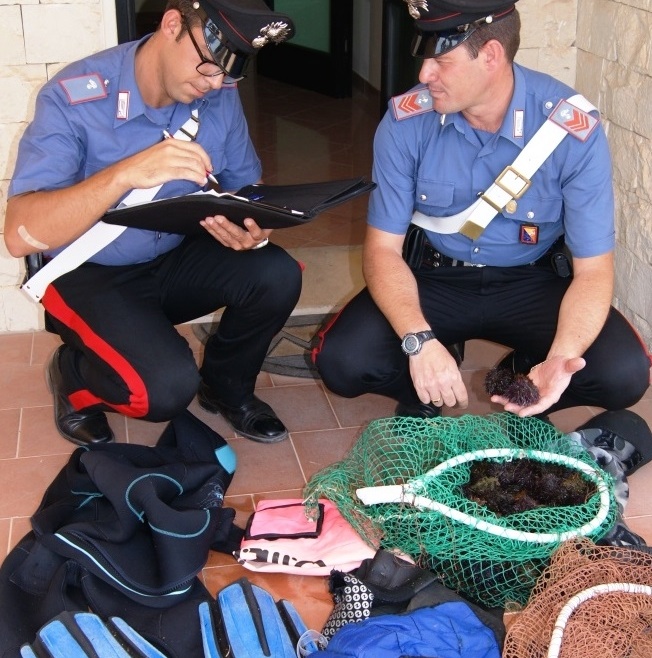 Multati pescatori di ricci