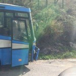 Bus nella corsia opposta, Nicosia scrive alla Regione