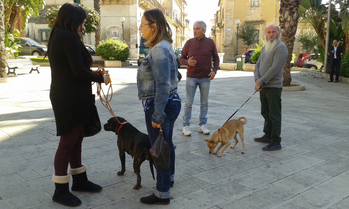 Cani avvelebati, sit in degli animalisti