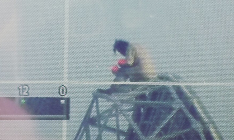 No al Muos, Turi Vaccaro s’arrampica sulla parabola e la prende a martellate Turi Vaccaro s'arrampica sulla parabola del Muos