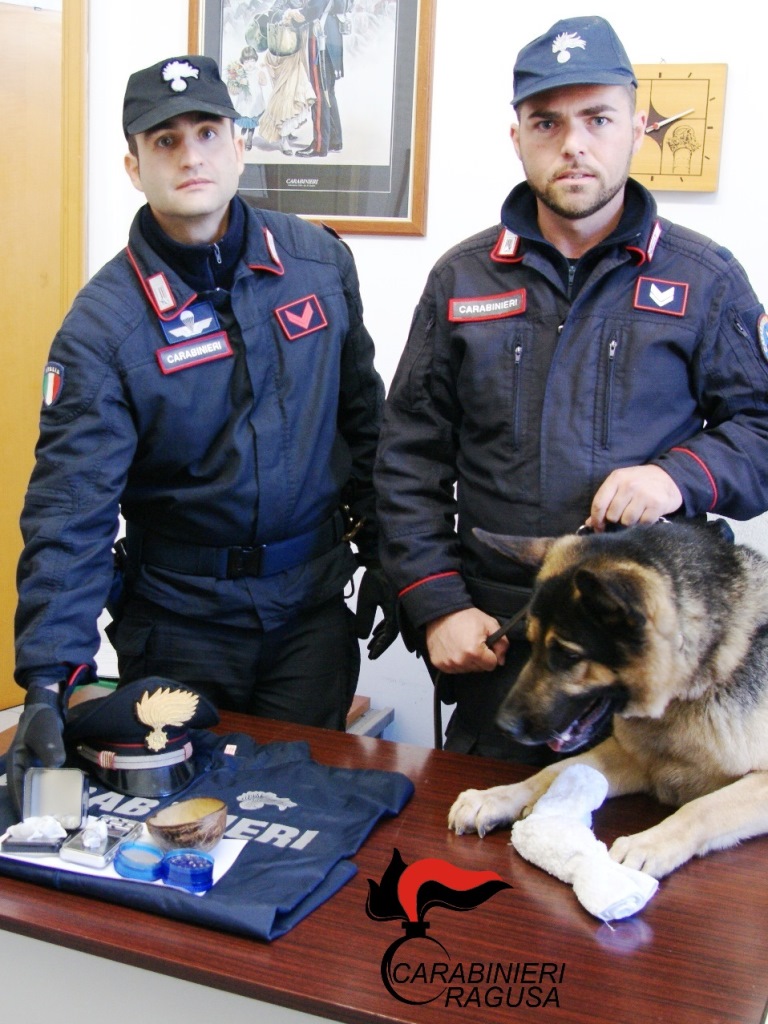 cani antiesplosivo in azione