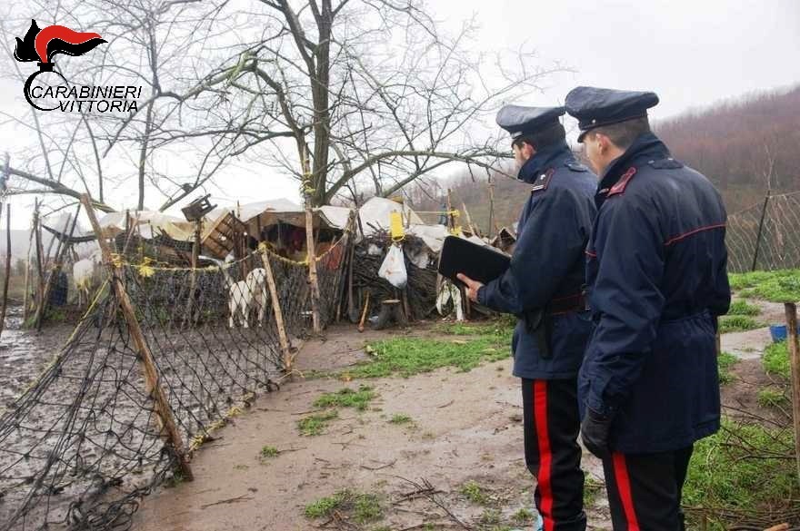 Chiaramonte, cani maltrattati