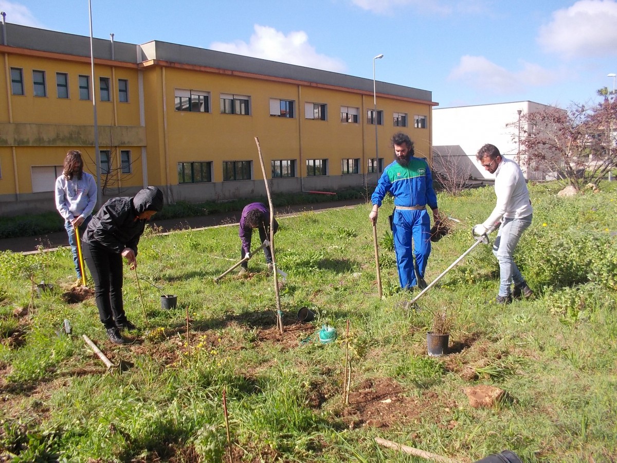 Ragusah24-orto-botanico-mariele-ventre