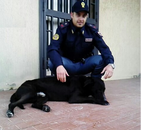 Cane salvato dalla Polizia