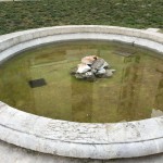 Ragusah24 – fontana -piazza-san-giovanni-degrado