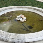 Ragusah24 - fontana -piazza-san-giovanni-degrado