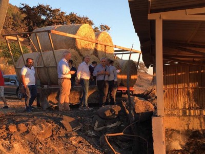 Immagine tratta dal profilo di Coldiretti Sicilia