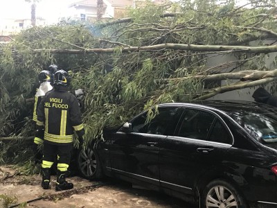 albero caduta su auto giostrai