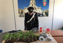 Operazione antidroga a Modica e Acate, in manette un commerciante e due studenti