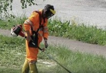 Via le erbacce, parte il ‘piano’ per ripulire la città. Ecco da dove si parte