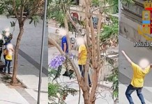 Vandali in azione a Vittoria, la Polizia li ‘becca’ e scatta la denuncia