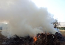 Lotta alle fumarole. Polizia Provinciale denuncia 8 produttori agricoli