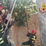 vigili del fuoco recupero cane 1