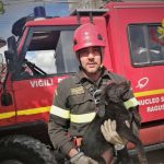 vigili del fuoco recupero cane