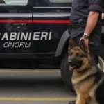 carabinieri cinofili