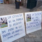manifestazione per Nerino