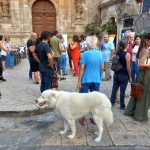 manifestazione per Nerino 2