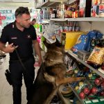 carabinieri, cane antidroga