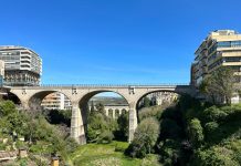Community Cleanup pulisce il parco Giovanni Paolo II