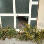 San Martino_2