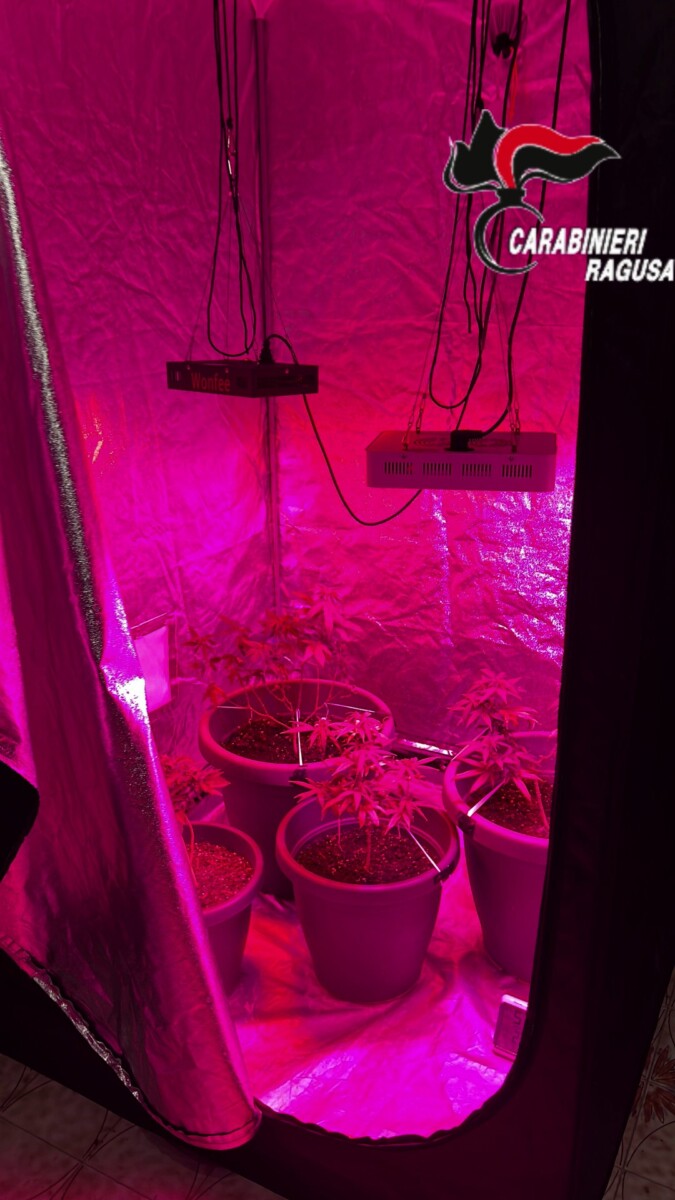 growbox per marijuana
