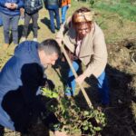 piccitto e campo