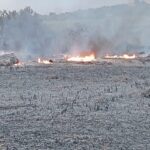 incendio, repertorio