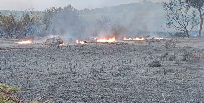incendio, repertorio