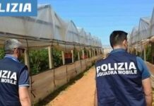 Caporalato e immigrazione clandestina, giro di vite della Polizia