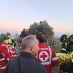 disperso4
