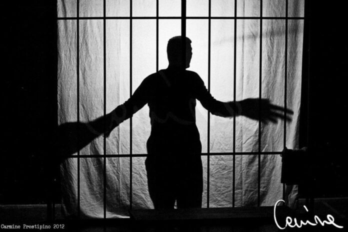 libero amleto
