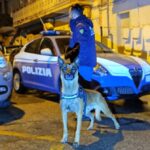 tre arresti Gela per tentato omicidio2