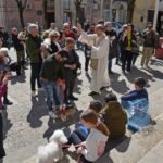 San Giuseppe benedizione animali 2025