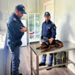 Poliziotti e cagnolino salvato