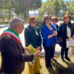 Piantumazione ulivo Vittoria
