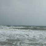 mare