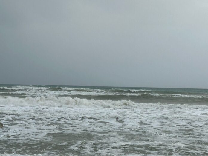 mare