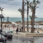 scoglitti live