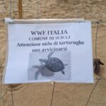 avviso nido tartarughe, scicli